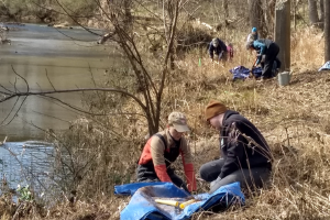 Volunteers on the bank of the Eno River planting native plants.