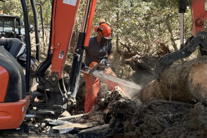 Town employee uses chainsaw and backhoe to remove trees from a roadway in Asheville