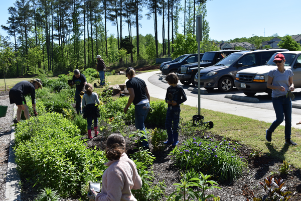 Participants working in the Cates Creek pollinator garden.